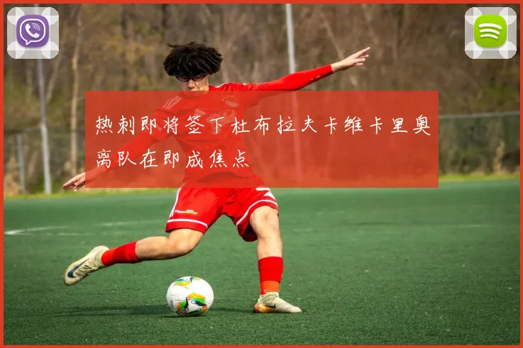 热刺即将签下杜布拉夫卡维卡里奥离队在即成焦点