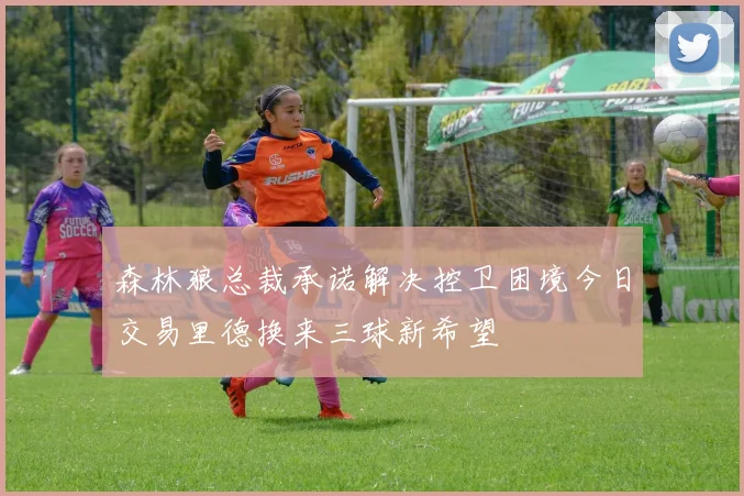 森林狼总裁承诺解决控卫困境今日交易里德换来三球新希望